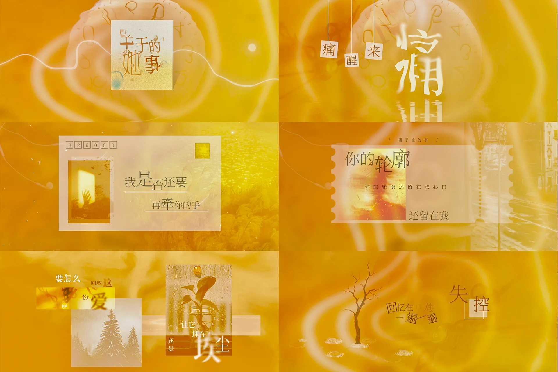 张星特-宁波前湾音乐节